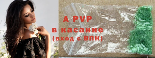 дмт Верея