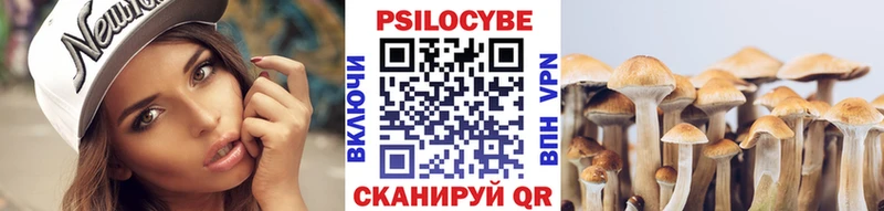 купить наркотик  Ачхой-Мартан  Галлюциногенные грибы Magic Shrooms 
