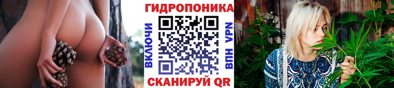 blacksprut ссылки  как найти   Ачхой-Мартан  МАРИХУАНА индика 